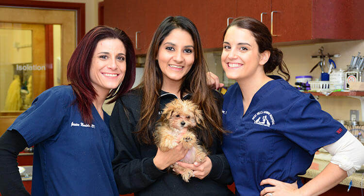Take a video tour of our award winning Animal Hospital in Huntington, NY