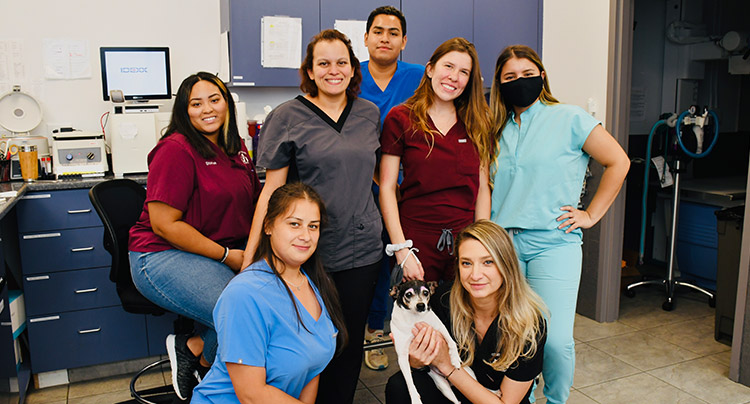 Meet the staff of Court Square Animal Hospital