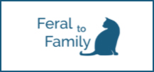 Feral to Family Cat Rescue
